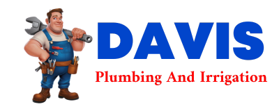 Trusted plumber in MANTENO